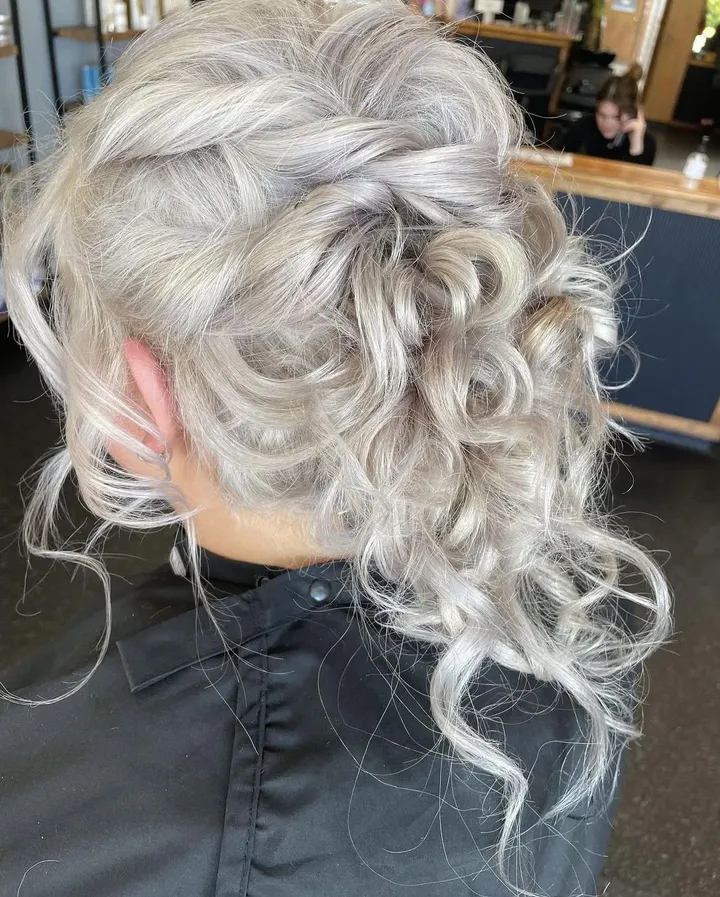 Braided silver updo